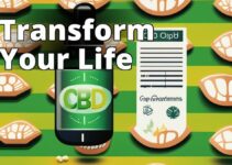 Cannabidiol For A Better Quality Of Life: The Ultimate Guide To Benefits, Types, Dosage, And Safety