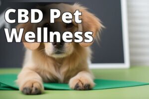 Cannabidiol For Pet Wellness: How Cbd Can Improve Your Pet’S Overall Health