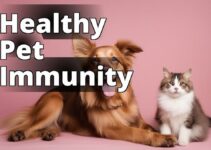 Boost Your Pet’S Immune System With Cannabidiol: A Comprehensive Guide