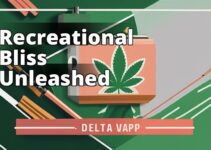 The Ultimate Guide To Delta 8 Thc For Recreational Use: Everything You Need To Know