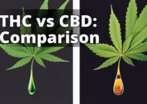 The Ultimate Guide: Comparing Delta-9 Thc And Cbd Oil Effects And Benefits